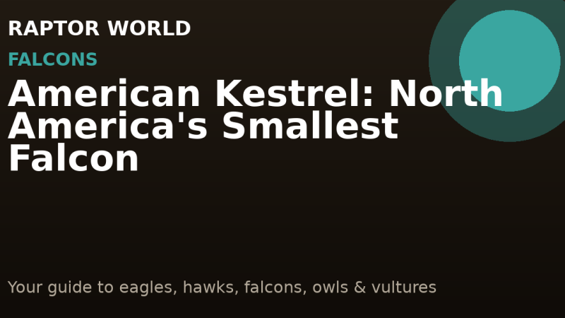 American Kestrel: North America’s Smallest Falcon