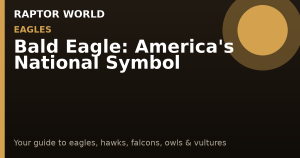 Eagle Diet by Season: A Year-Long Feeding Behavior Guide