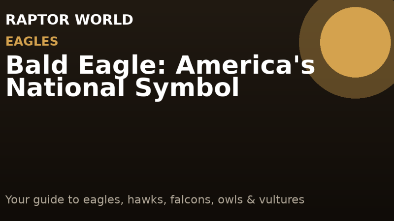 How to Help an Injured Eagle: Legal Guide & What to Do [2026]