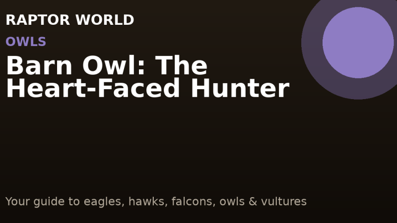 Barn Owl: The Heart-Faced Hunter