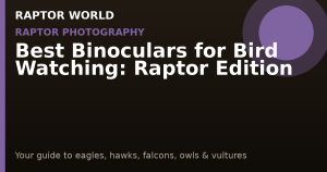 Best Binoculars for Bird Watching: Raptor Edition