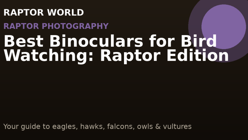 Best Binoculars for Bird Watching: Raptor Edition