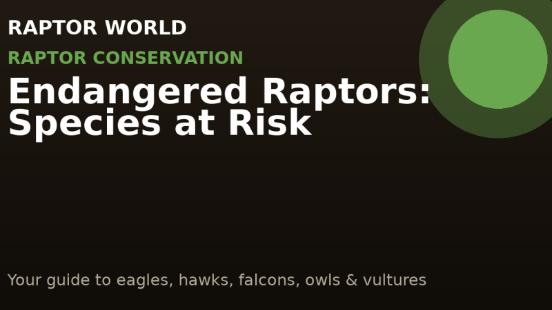Endangered Raptors: Species at Risk