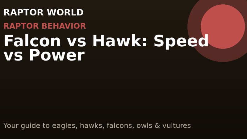 Falcon vs Hawk: Speed vs Power