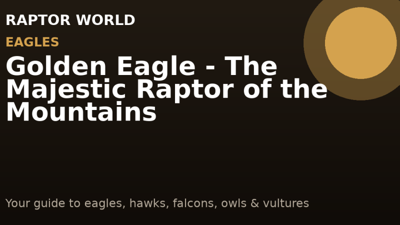 Golden Eagle – The Majestic Raptor of the Mountains