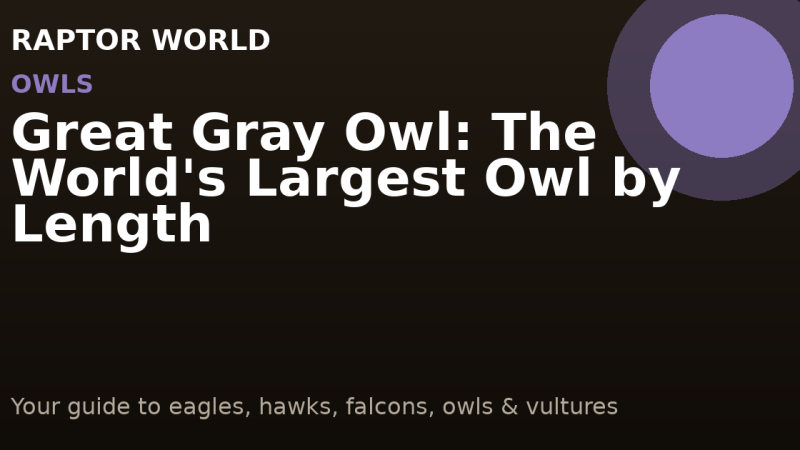 Great Gray Owl: The World’s Largest Owl by Length