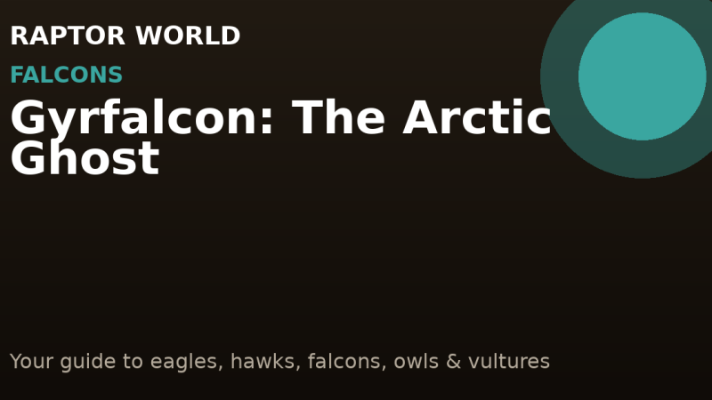 Gyrfalcon: The Arctic Ghost