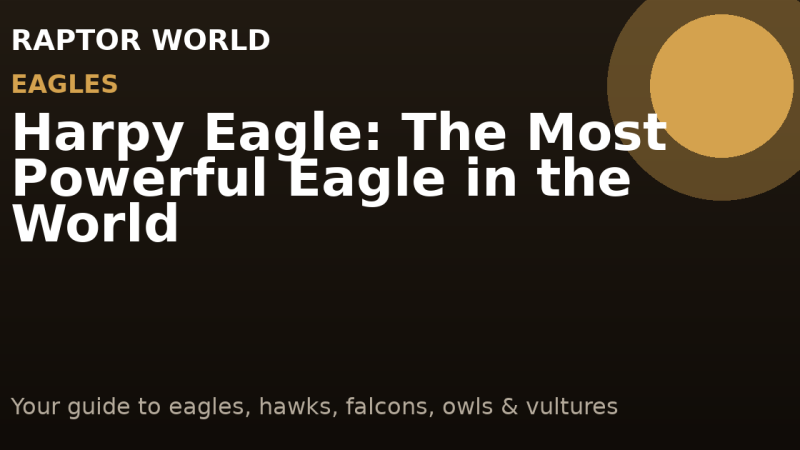 Harpy Eagle: The Most Powerful Eagle in the World