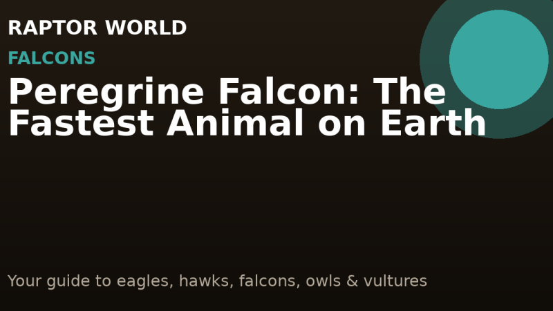 Peregrine Falcon: The Fastest Animal on Earth