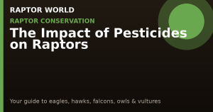The Impact of Pesticides on Raptors