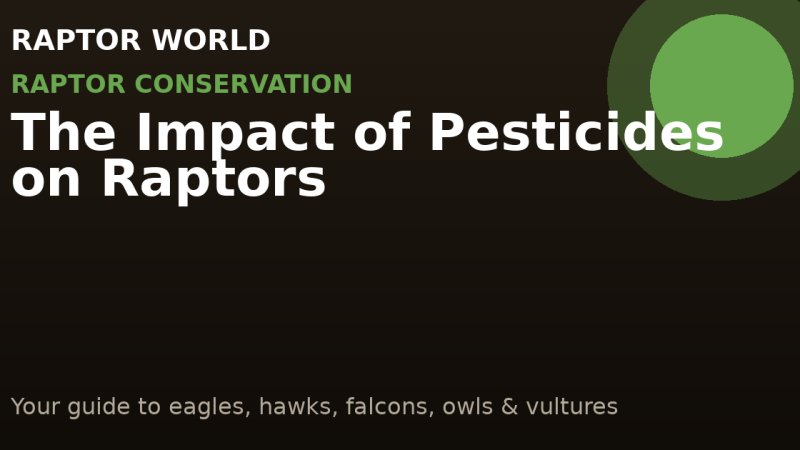 The Impact of Pesticides on Raptors