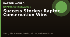 Success Stories: Raptor Conservation Wins