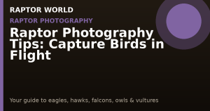 Raptor Photography Tips: Capture Birds in Flight