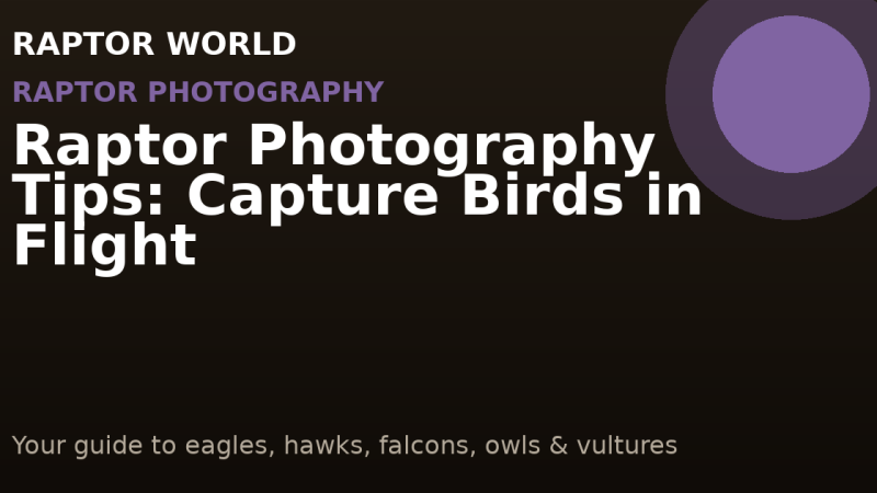 Raptor Photography Tips: Capture Birds in Flight