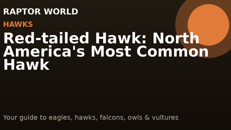 Red-tailed Hawk: North America’s Most Common Hawk