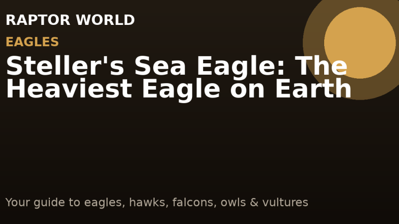 Steller’s Sea Eagle: The Heaviest Eagle on Earth