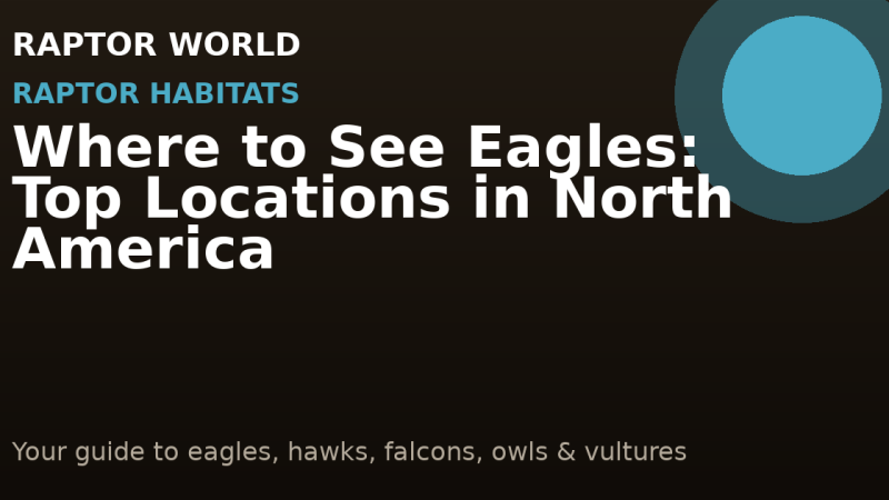 Where to See Eagles: Top Locations in North America