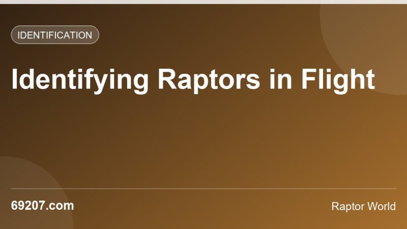 How to Identify Raptors in Flight: Silhouettes, Wingbeats, and Flight Styles