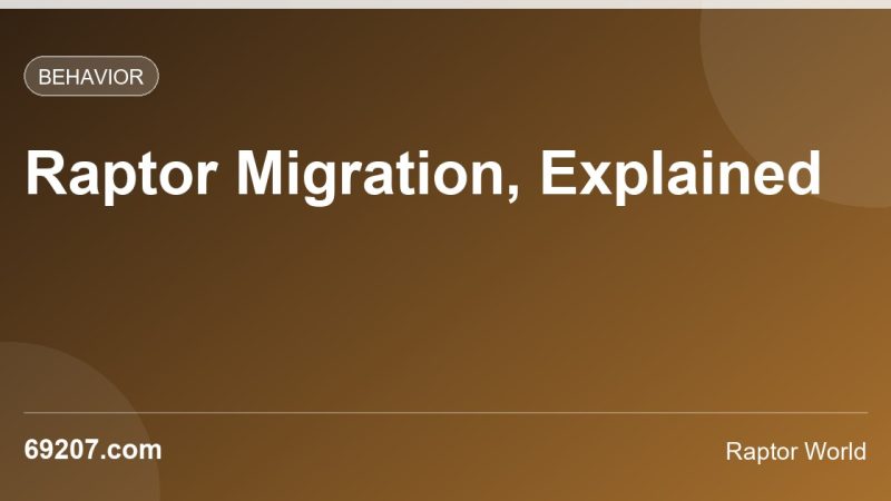 Raptor Migration Explained: How, When, and Where Birds of Prey Travel